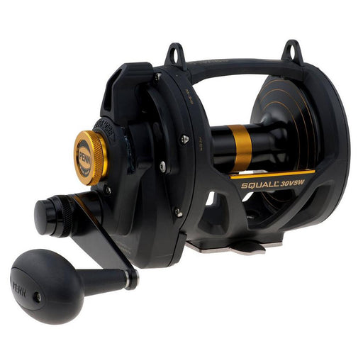 PENN Squall® 30VSW Lever Drag 2 Speed Conventional Reel (7384182784177)