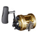 Shimano Tiagra TI50W LRSA  Reel (7256959647921)