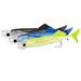 Williamson Live Ballyhoo Hybrid Lure (6945819394225)