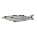 Livetarget Mullet (Hollow Body) | 3 3/4'' - 3/8 oz (7158894526641)