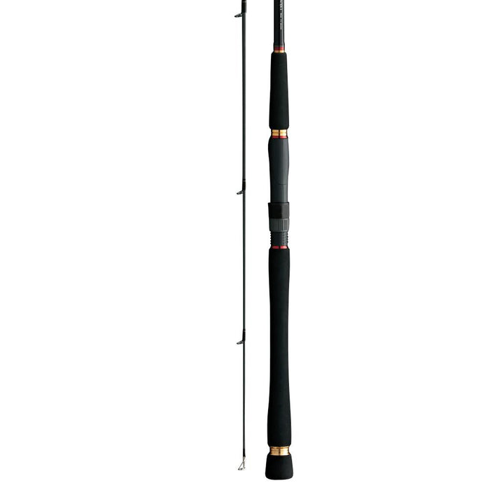 Daiwa Seabass Hunter X-96M (6897549181105)