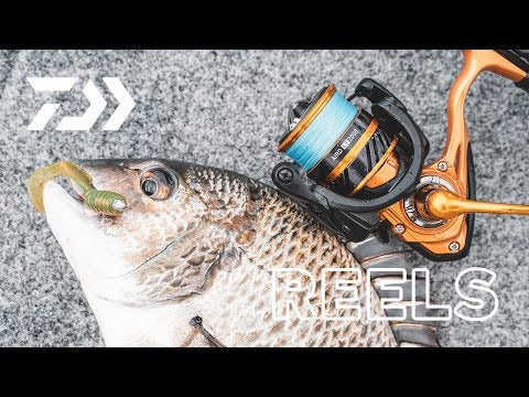 daiwa aird lt spinning reel 6000-h Daiwa Reel AIRD LT — Al Marfaa Marine Equipments