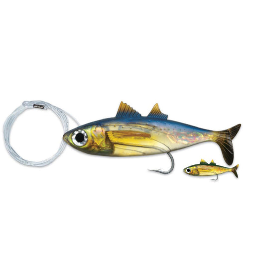 goggle eye bait Williamson 7 Inch Live Goggle Eye Scad